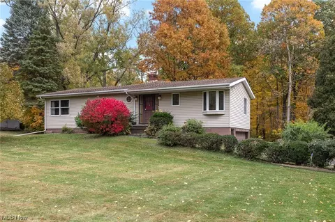 189 Briar Hill Dr, Painesville, OH 44077