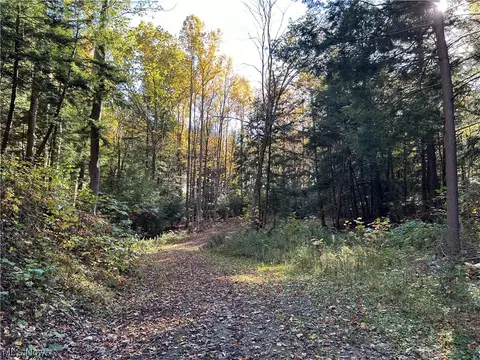 Vl South Ridge Road, Conneaut, OH 44030