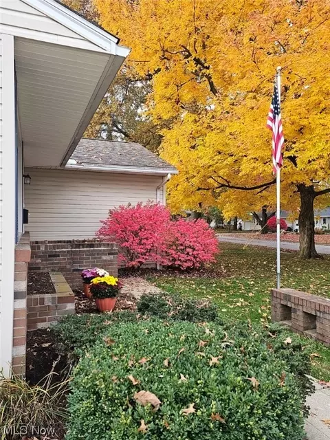 367 West St, Wadsworth, OH 44281 photo 18
