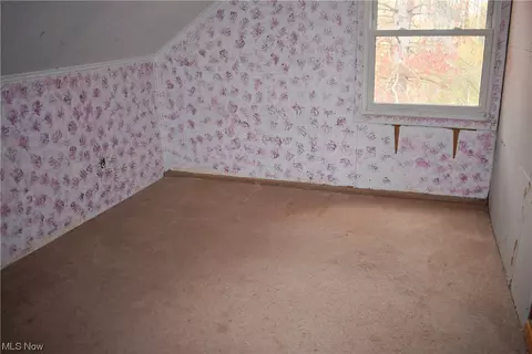 8718 Freedom Rd, Windham, OH 44288 photo 17