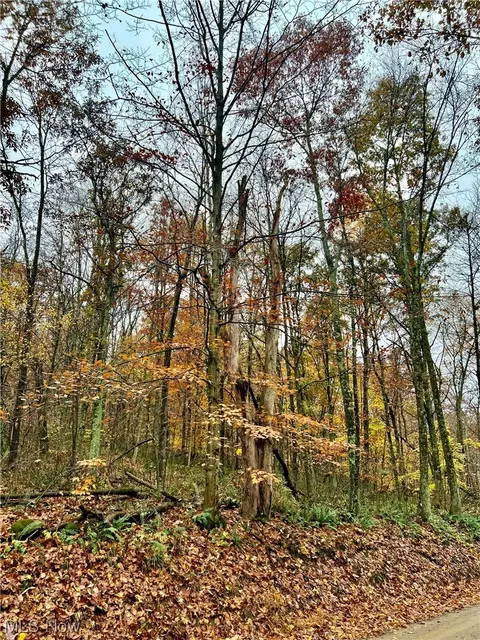 Township Road 13, Killbuck, OH 44637