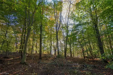 8662 Porter Run Rd, Roseville, OH 43777