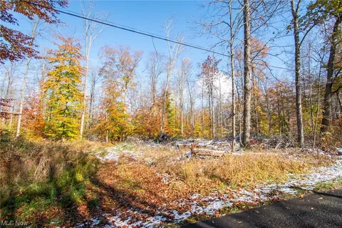 W Garfield Road, Beloit, OH 44609 photo 10