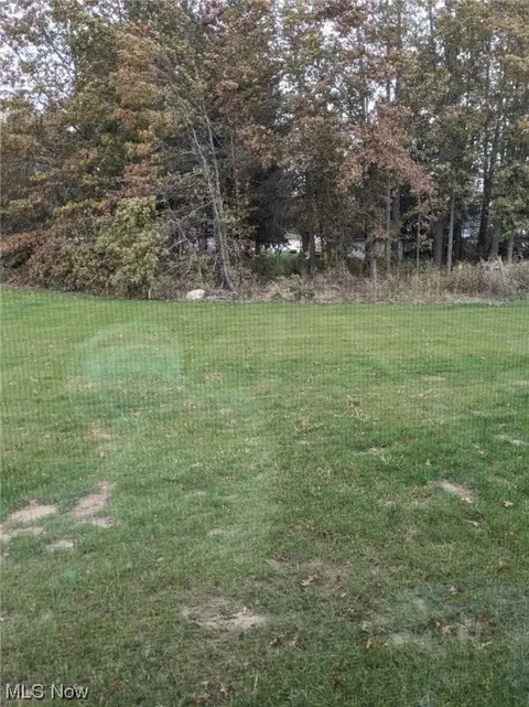174 W Spring Dr, Elyria, OH 44035 photo 19