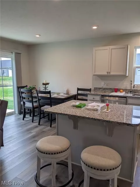 174 W Spring Dr, Elyria, OH 44035 photo 5