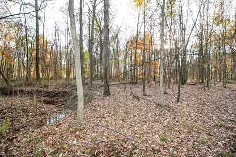 0 Lilly Rd, Minerva, OH 44657