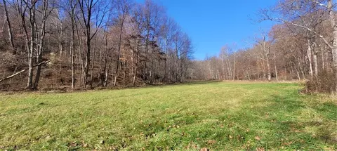 Johnson Run Road, Newcomerstown, OH 43832