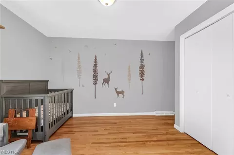 1816 Bathgate Ave, Madison, OH 44057 photo 26