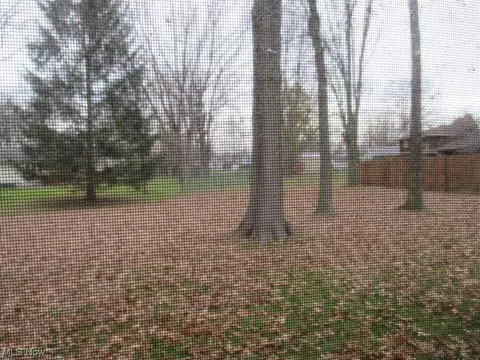 656 University Ave, Elyria, OH 44035 photo 19