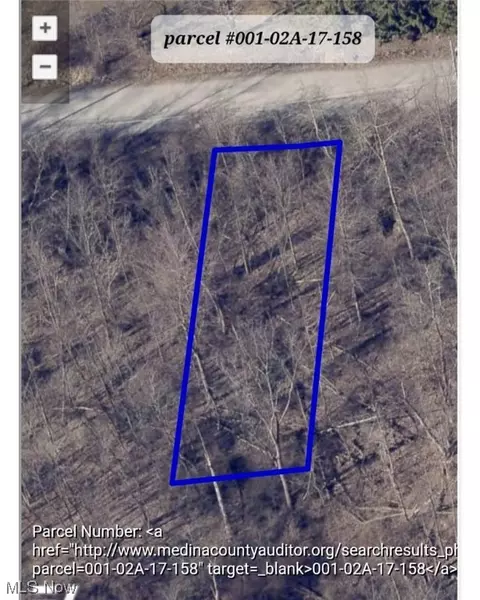 Chestnut Avenue, Brunswick, OH 44212