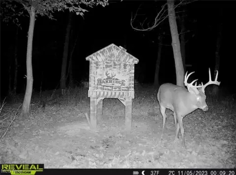 0 Virginia Rdg, Philo, OH 43771 photo 28