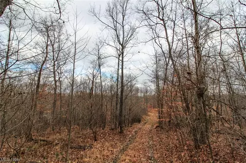 0 Virginia Rdg, Philo, OH 43771 photo 11