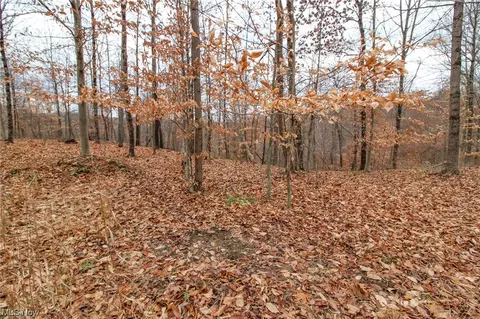 0 Virginia Rdg, Philo, OH 43771 photo 15