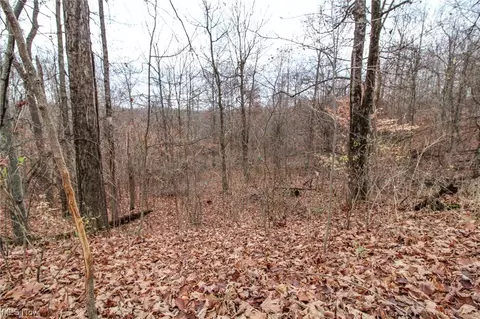 0 Virginia Rdg, Philo, OH 43771 photo 7