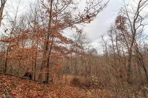 0 Virginia Rdg, Philo, OH 43771 photo 8