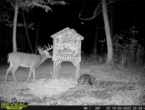 0 Virginia Rdg, Philo, OH 43771 photo 23