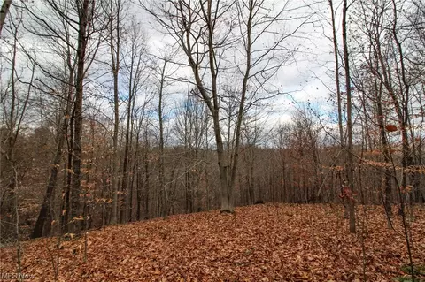 0 Virginia Rdg, Philo, OH 43771