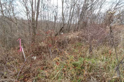 0 Virginia Rdg, Philo, OH 43771 photo 5