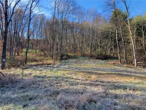 Applegate Road, Lisbon, OH 44432