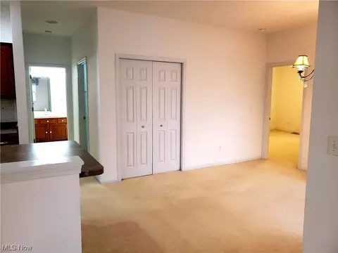 113 Rauscher Ct, Elyria, OH 44035 photo 19