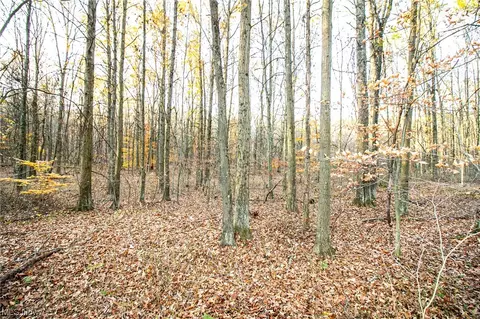 00 Lilly Rd, Minerva, OH 44657 photo 17