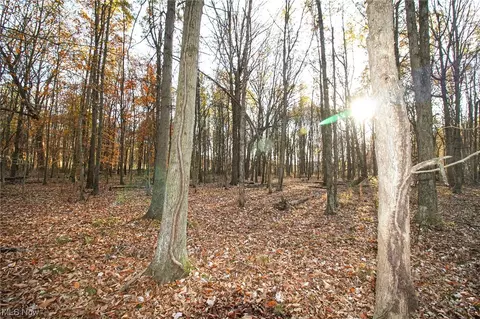 00 Lilly Rd, Minerva, OH 44657