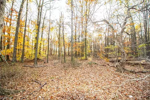 00 Lilly Rd, Minerva, OH 44657 photo 7