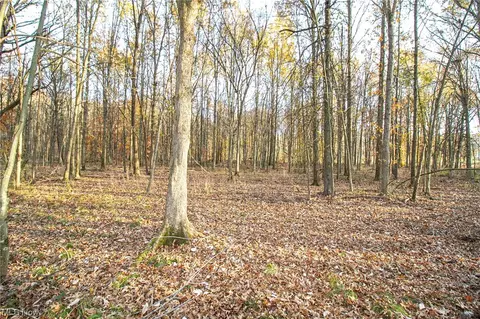 00 Lilly Rd, Minerva, OH 44657 photo 13