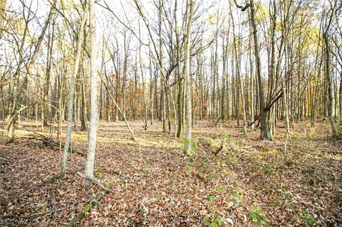 00 Lilly Rd, Minerva, OH 44657 photo 12