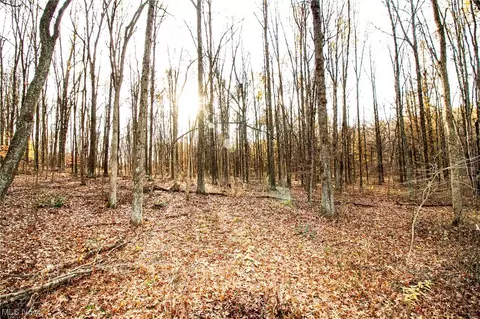 00 Lilly Rd, Minerva, OH 44657 photo 3