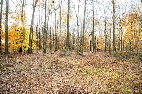 00 Lilly Rd, Minerva, OH 44657 photo 6