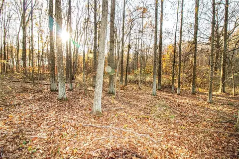 00 Lilly Rd, Minerva, OH 44657 photo 5