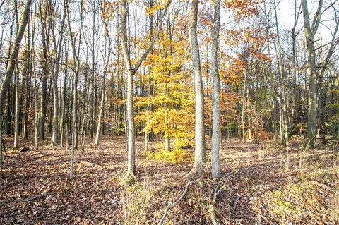 00 Lilly Rd, Minerva, OH 44657 photo 15