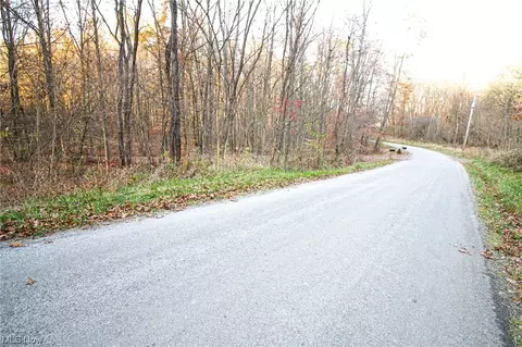 00 Lilly Rd, Minerva, OH 44657 photo 19