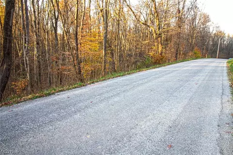 00 Lilly Rd, Minerva, OH 44657 photo 20