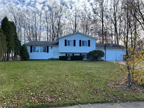 9555 Shadywood Ln, Twinsburg, OH 44087