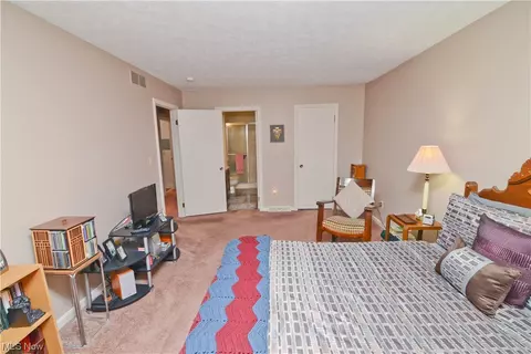 1175 Calla E, Poland, OH 44514 photo 24