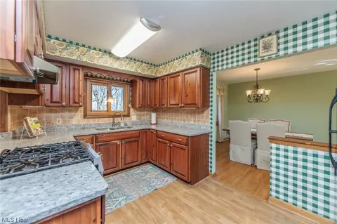 3123 Pasadena Dr, Seven Hills, OH 44131 photo 13