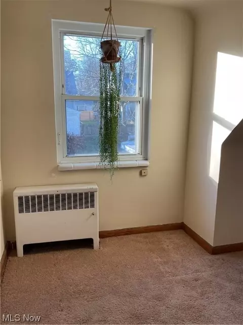 436 Drexel St, Akron, OH 44310 photo 19
