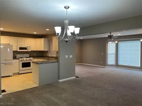 1444 E 263rd, Euclid, OH 44132 photo 5