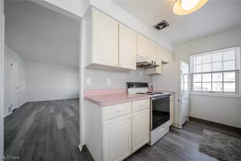 523 Eastern Heights Blvd, Elyria, OH 44035 photo 5