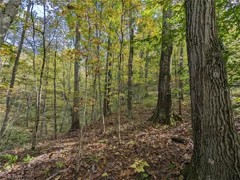 43718 Crabapple Road, Beallsville, OH 43718