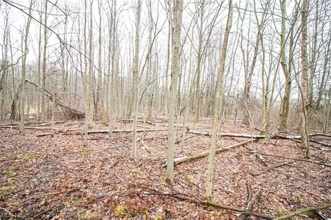 7361 State Route 303, Windham, OH 44288 photo 6