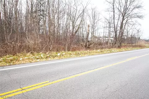 7361 State Route 303, Windham, OH 44288 photo 20