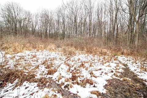 7361 State Route 303, Windham, OH 44288 photo 8
