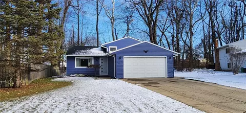 317 Maplewood Ave, Painesville, OH 44077
