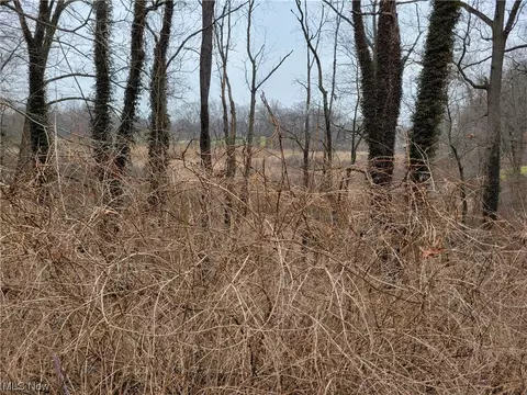 Vl Diagonal, Kent, OH 44240 photo 2