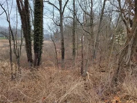 Vl Diagonal, Kent, OH 44240 photo 3