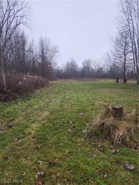 10344 N Marks Rd, Columbia Station, OH 44028