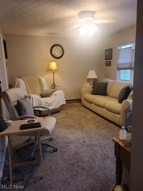 373 Hatton, Andover, OH 44003 photo 2